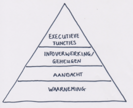 cognitieve driehoek basis